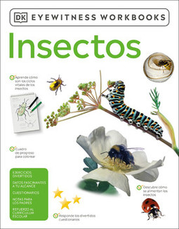 Insectos