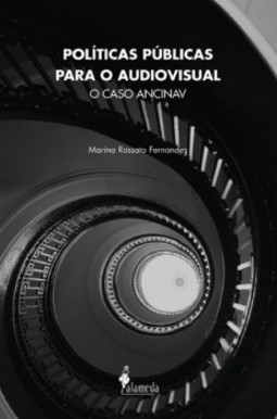 Políticas públicas para o audiovisual: o caso Ancinav