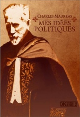 Mes Idées Politiques