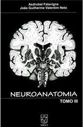 Neuroanatomia
