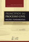Princípios do processo civil: Noções fundamentais
