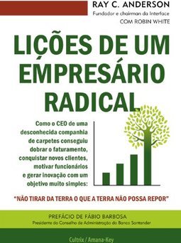 Lições de um empresário radical