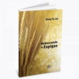 Rebuscando as espigas (Vida cristã #1)