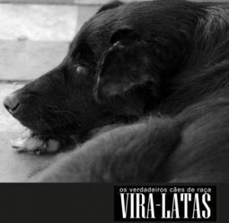 VIRA LATAS