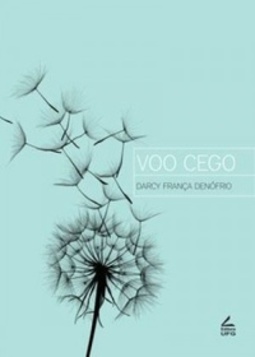 Voo cego (Coleção Vertentes)