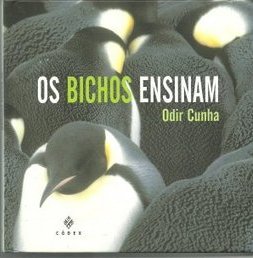 Bichos Ensinam