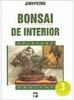 Bonsai de Interior - IMPORTADO