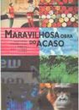 Maravilhosa Obra do Acaso: para Tentar Entender...