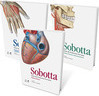 Sobotta - Atlas de anatomia humana: Anatomia geral e sistema muscular, Órgãos internos, Cabeça, pescoço e neuroanatomia