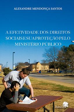 A efetividade dos direitos sociais e sua proteção pelo Ministério Público