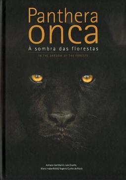 PANTHERA ONCA: A SOMBRA DAS FLORESTAS / IN...FORESTS