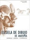 ESCUELA DE DIBUJO DE ANATOMIA