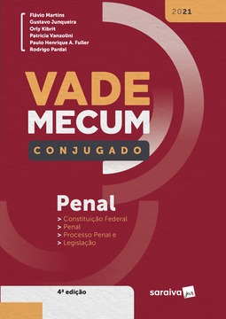 Vade mecum penal conjugado