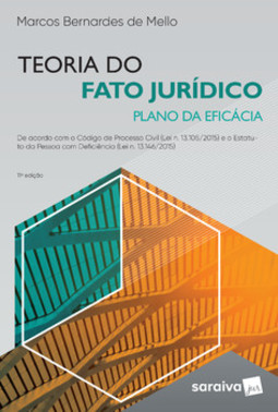 Teoria do fato jurídico: plano de eficácia