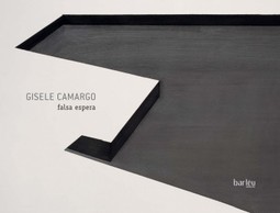 Gisele Camargo: Falsa espera