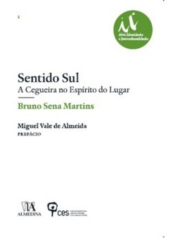 Sentido sul: a cegueira no espírito do lugar