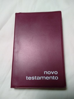 Bíblia Novo Testamento Pontifício Instituto Bíblico de Roma 