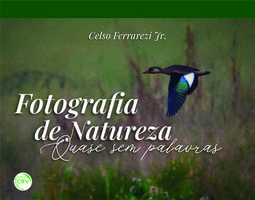 Fotografia de natureza: quase sem palavras