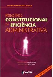 Princípio Constitucional da Eficiência Administrativa