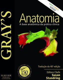  Gray’s Anatomia
