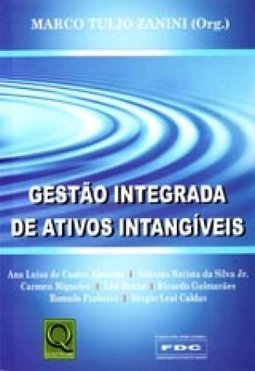 GESTAO INTEGRADA DE ATIVOS INTANGIVEIS