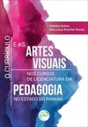O currículo e as artes visuais nos cursos de licenciatura em pedagogia no estado do Paraná