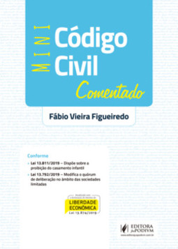 Mini código civil comentado