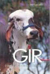 Gir: o Grande Trunfo da Nossa Pecuária Leiteira