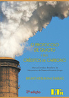 O Protocolo de Quioto e seus créditos de carbono: Manual jurídico brasileiro de mecanismo de desenvolvimento limpo