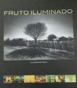 Fruto iluminado