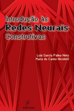 Introdução às Redes Neurais Construtivas
