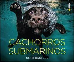 CACHORROS SUBMARINOS