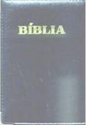 Bíblia Sagrada: Preta, Capa Carteira com Velcro e Beiras Douradas