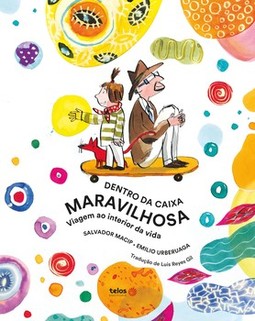 Dentro da caixa maravilhosa: viagem ao interior da vida