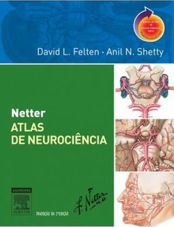 NETTER ATLAS DE NEUROCIENCIA