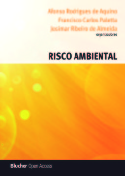 Risco ambiental