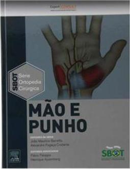 Mão e punho