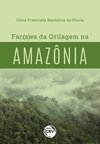 Fac(s)es da grilagem na Amazônia