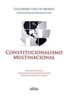 Constitucionalismo multinacional: Uso persuasivo da jurisprudência estrangeira pelos tribunais constitucionais