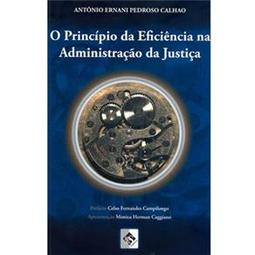 O Princípio da Eficiência na Administração da Justiça