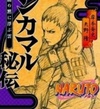 Shikamaru Hiden (Naruto novel)