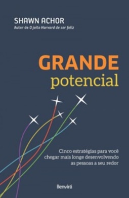 Grande potencial: cinco estratégias para você chegar mais longe desenvolvendo as pessoas a seu redor