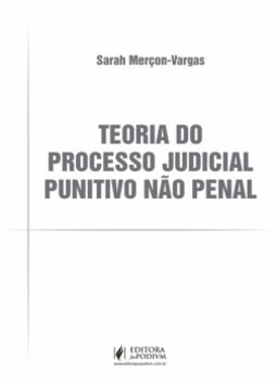 Teoria do processo judicial punitivo não penal