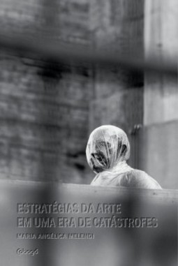 Estratégias da arte em uma era de catástrofes