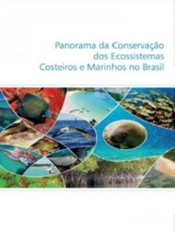 Panorama da conservação dos ecossistemas costeiros e marinhos no Brasil