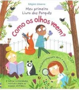 COMO OS OLHOS VEEM?: MEU PRIMEIRO LIVRO DE PORQUES