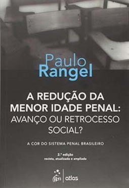 A redução da menor idade penal: Avanço ou retrocesso social? A cor do sistema penal brasileiro