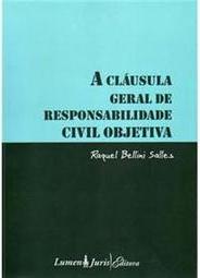 A Cláusula Geral de Responsabilidade Civil Objetiva