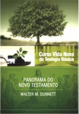 Curso Vida Nova de Teologia Básica: Panorama do Novo Testamento