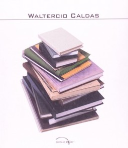 Waltercio Caldas: Depoimento